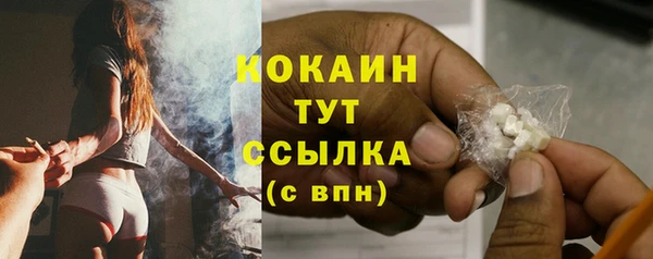 spice Болотное