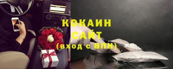 spice Болотное