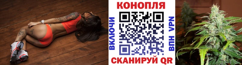 Купить где  Котельники  Каннабис конопля 